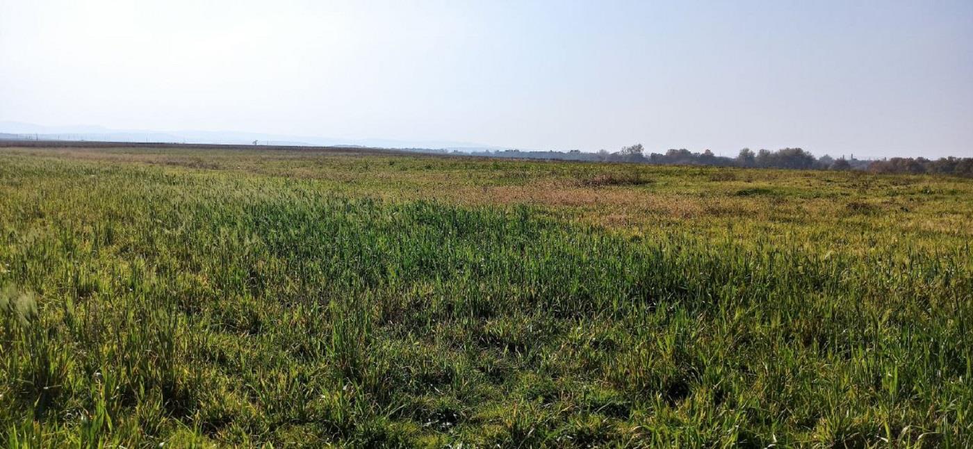 Фото №6: Коммерция 458 м² - Краснодарский край Северский район