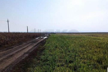 Фото №2: Коммерческая земля 458 сот. - Краснодарский край Северский район