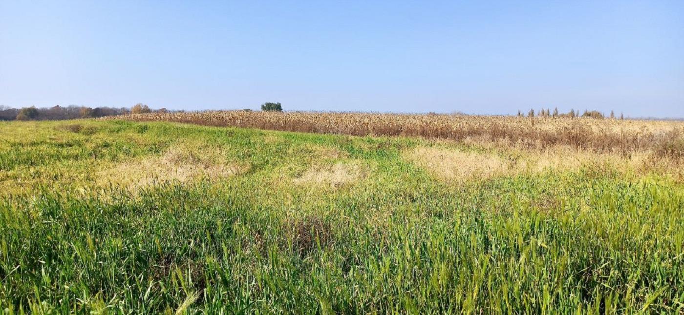 Фото №8: Коммерция 458 м² - Краснодарский край Северский район