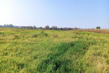 Фото №4: Коммерция 458 м² - Краснодарский край Северский район