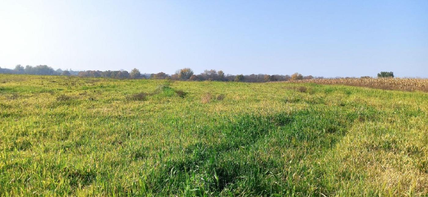 Фото №4: Коммерция 458 м² - Краснодарский край Северский район