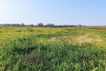 Фото №5: Коммерческая земля 458 сот. - Краснодарский край Северский район