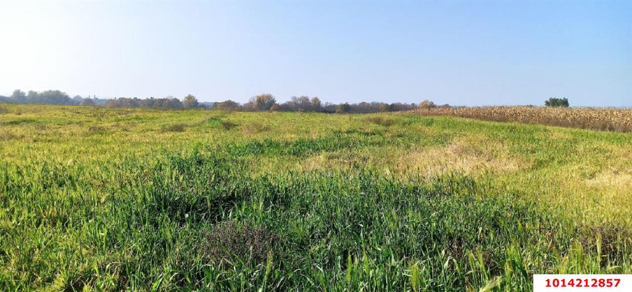 Фото №5: Коммерческая земля 458 сот. - Краснодарский край Северский район