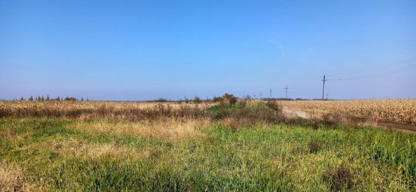 Фото №7: Коммерция 458 м² - Краснодарский край Северский район