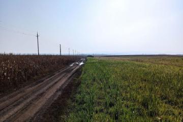 Фото №2: Коммерция 458 м² - Краснодарский край Северский район