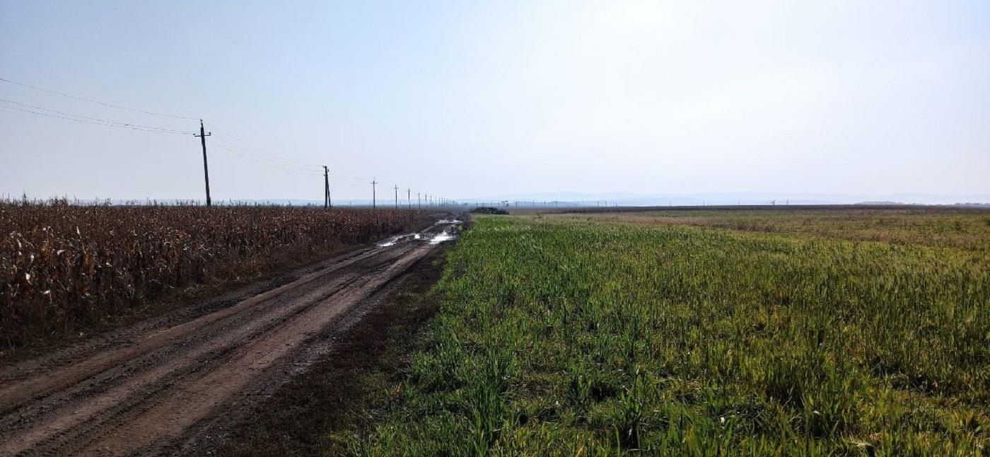 Фото №2: Коммерция 458 м² - Краснодарский край Северский район