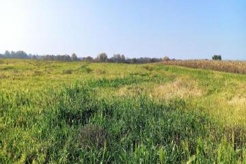 Фото №5: Коммерция 458 м² - Краснодарский край Северский район