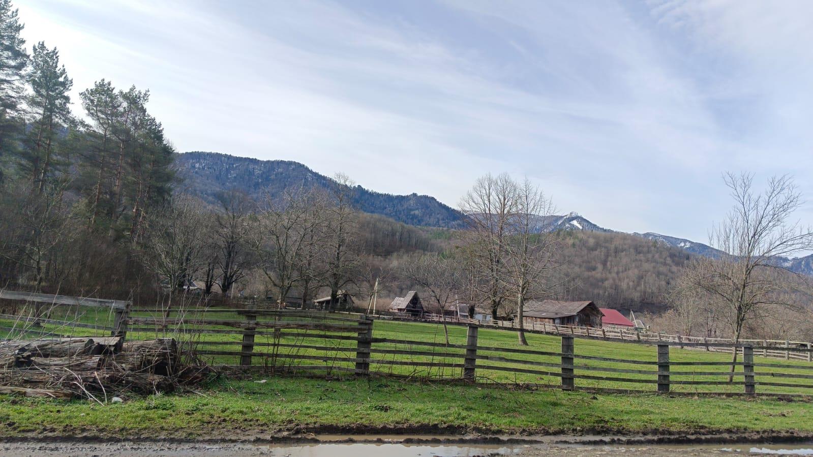 Фото №8: Коммерция 13 м² - Тубы, ул. Клубная, 32