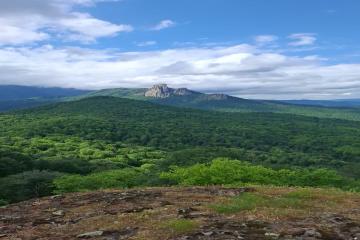 Фото №5: Коммерция 13 м² - Тубы, ул. Клубная, 32