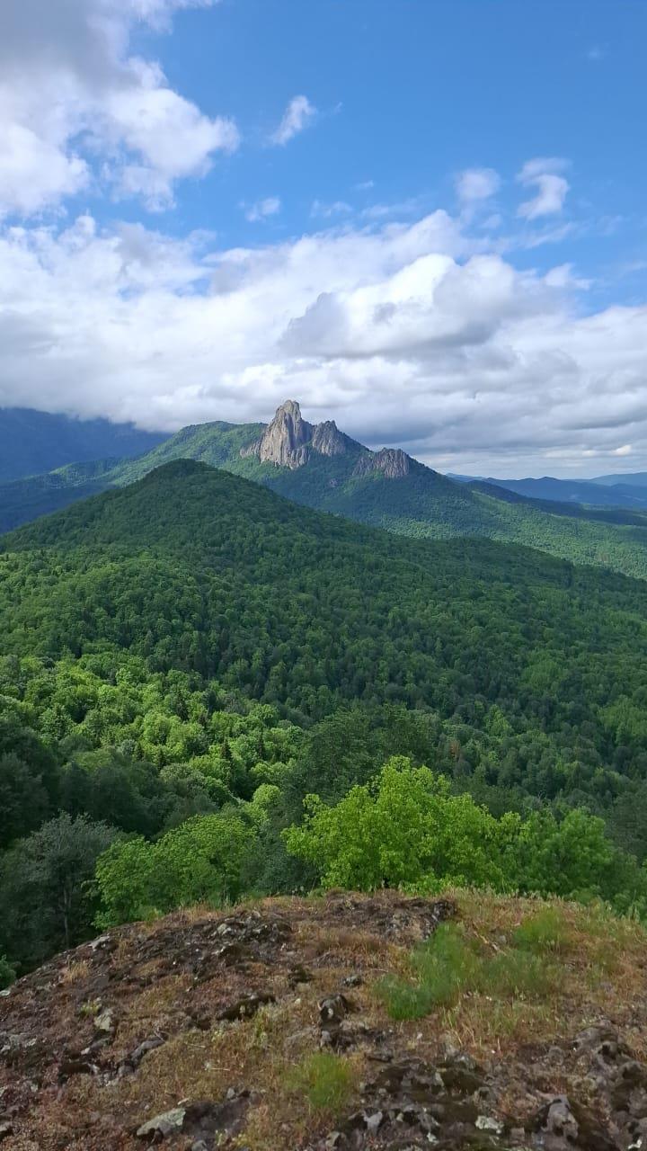 Фото №5: Коммерция 13 м² - Тубы, ул. Клубная, 32