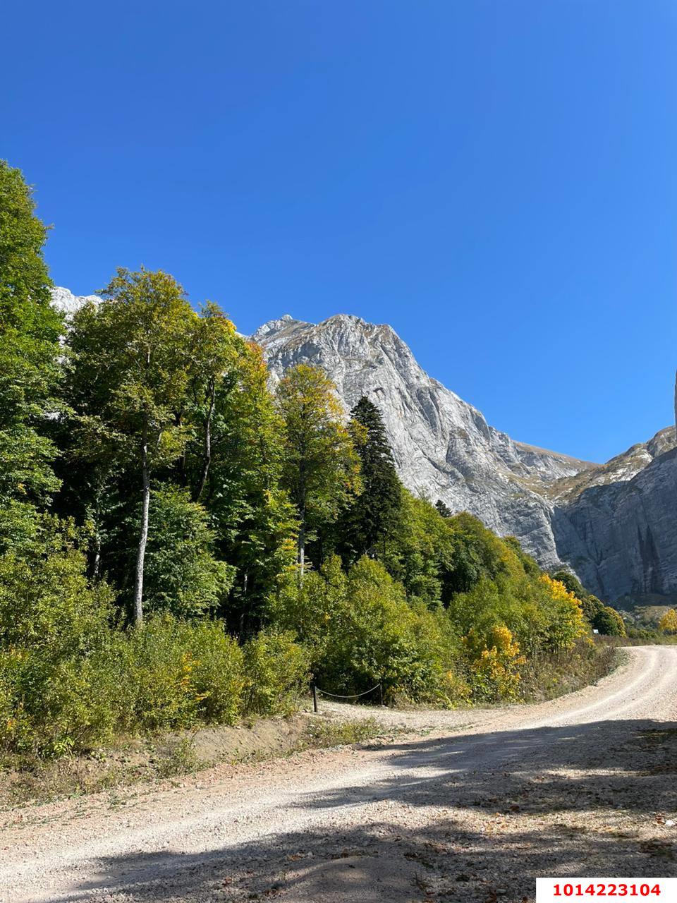 Фото №6: Личное подсобное хозяйство 14 сот. - Тубы, ул. Клубная, 32