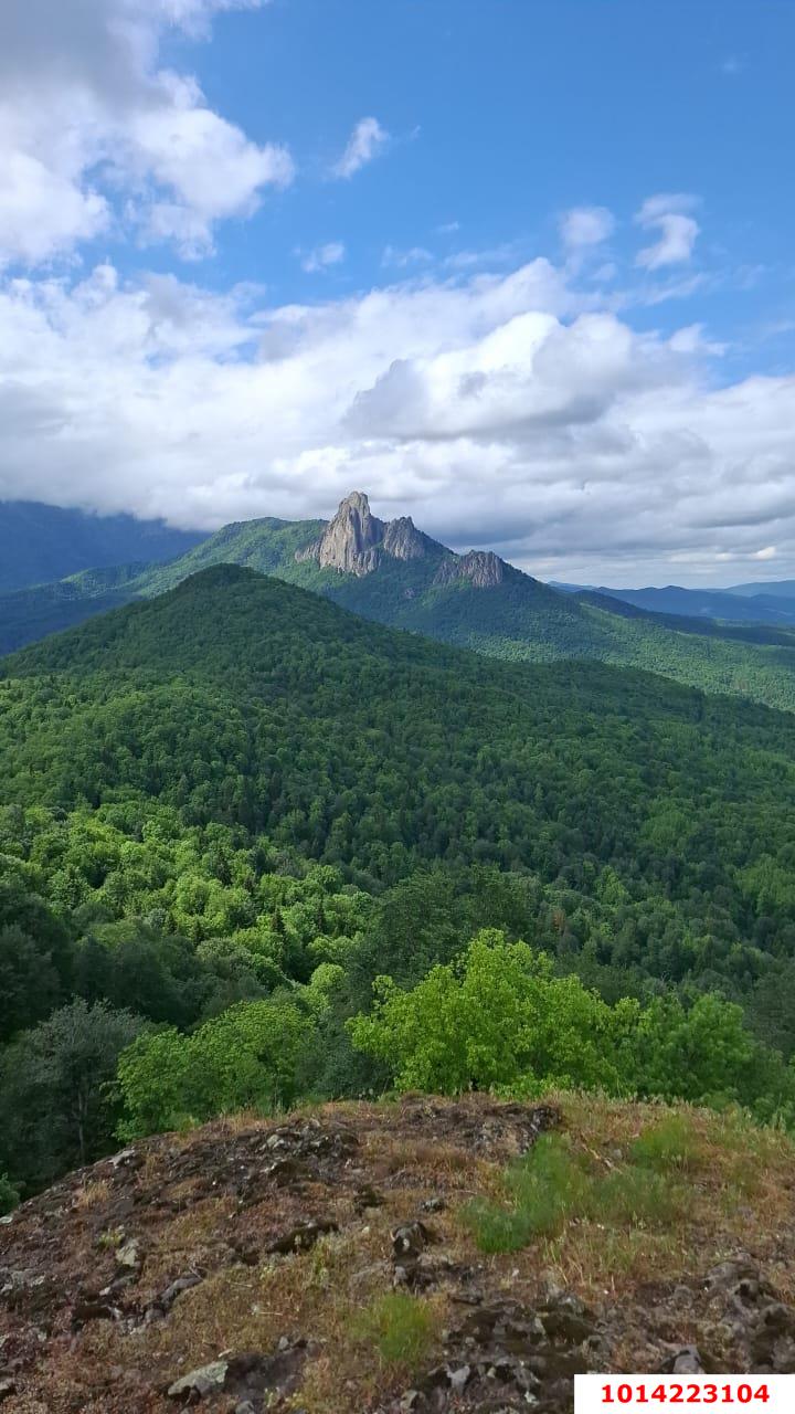 Фото №5: Личное подсобное хозяйство 14 сот. - Тубы, ул. Клубная, 32