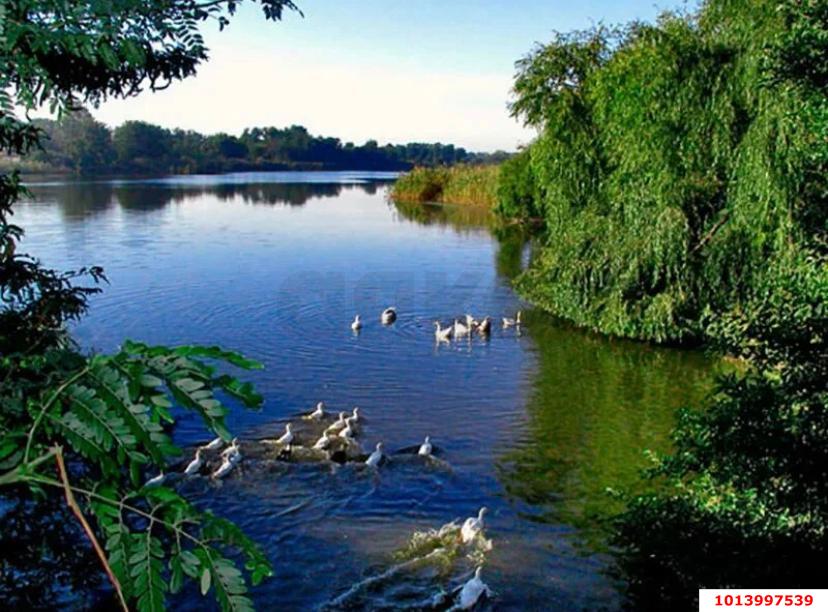 Фото №6: Коммерция 145 м² - Динская, ул. Коммунальная, 135