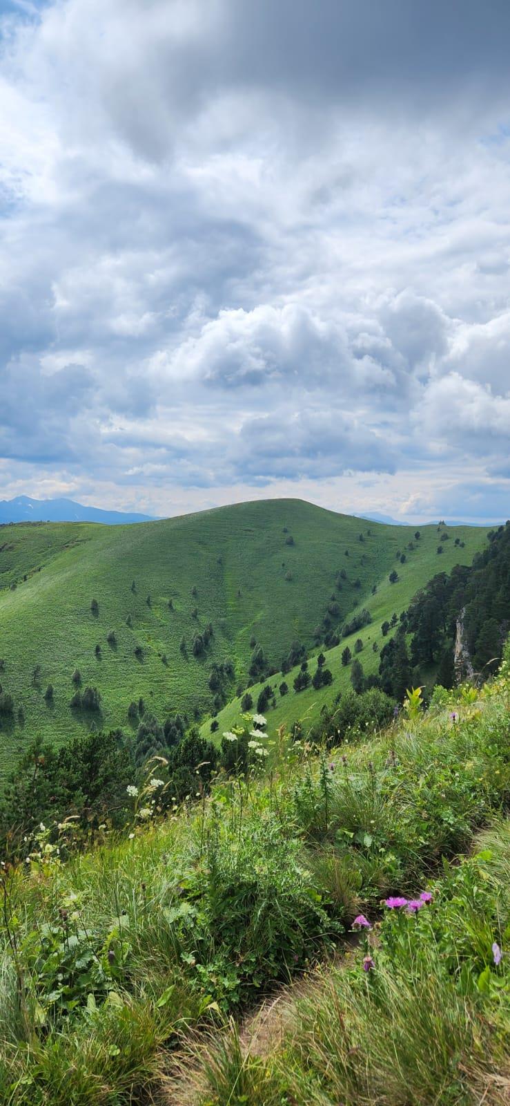 Фото №8: Коммерция 150 м² - Даховская, Прикубанский внутригородской округ, жилой комплекс Западный Город, Восточный, Западный внутригородской округ, Фестивальный, Карасунский внутригородской округ, Гидростроителей, Славянский, мкр. Светлоград, ул. Советская, 20