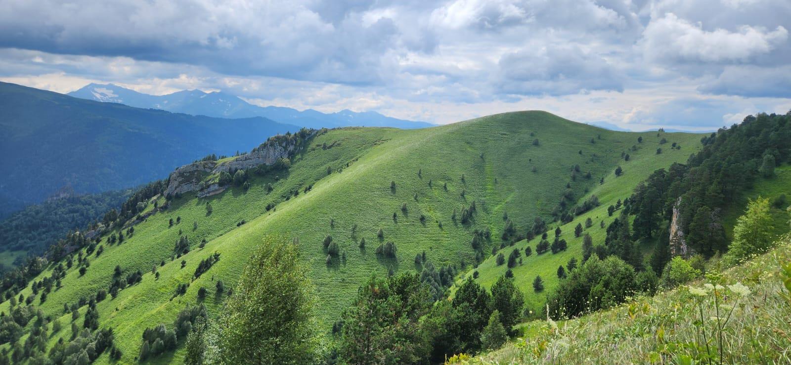 Фото №9: Коммерция 150 м² - Даховская, Прикубанский внутригородской округ, жилой комплекс Западный Город, Восточный, Западный внутригородской округ, Фестивальный, Карасунский внутригородской округ, Гидростроителей, Славянский, мкр. Светлоград, ул. Советская, 20