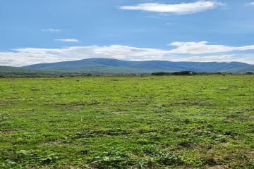 Фото №5: Коммерция 150 м² - Даховская, мкр. Светлоград, ул. Советская, 20