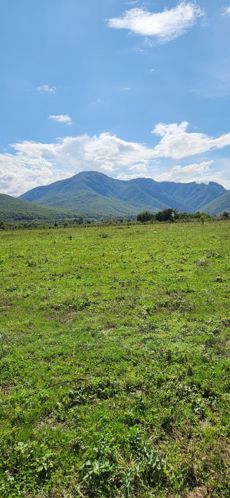 Фото №5: Коммерция 150 м² - Даховская, Прикубанский внутригородской округ, жилой комплекс Западный Город, Восточный, Западный внутригородской округ, Фестивальный, Карасунский внутригородской округ, Гидростроителей, Славянский, мкр. Светлоград, ул. Советская, 20