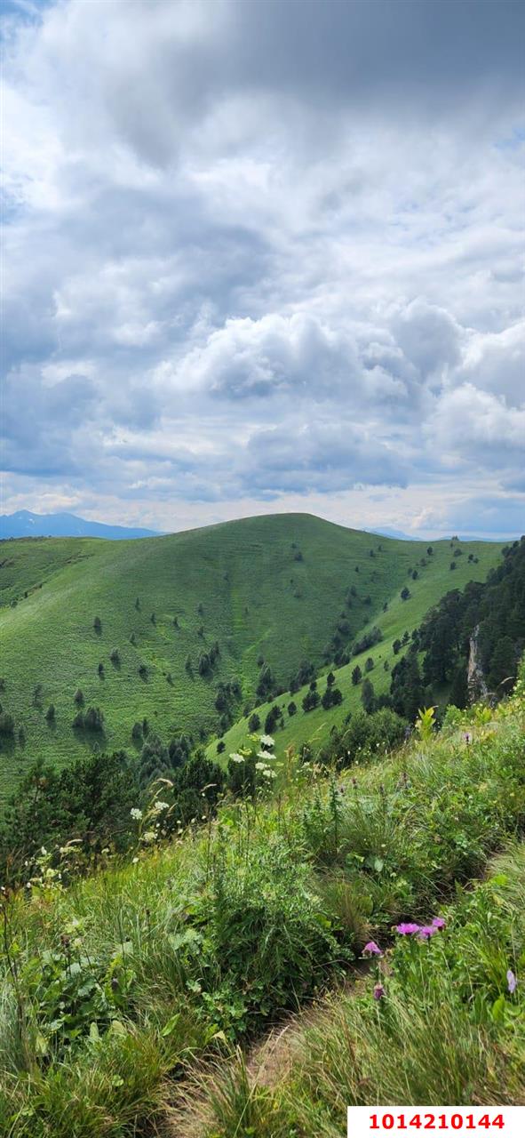 Фото №8: Коммерческая земля 150 сот. - Даховская, ул. Советская, 20