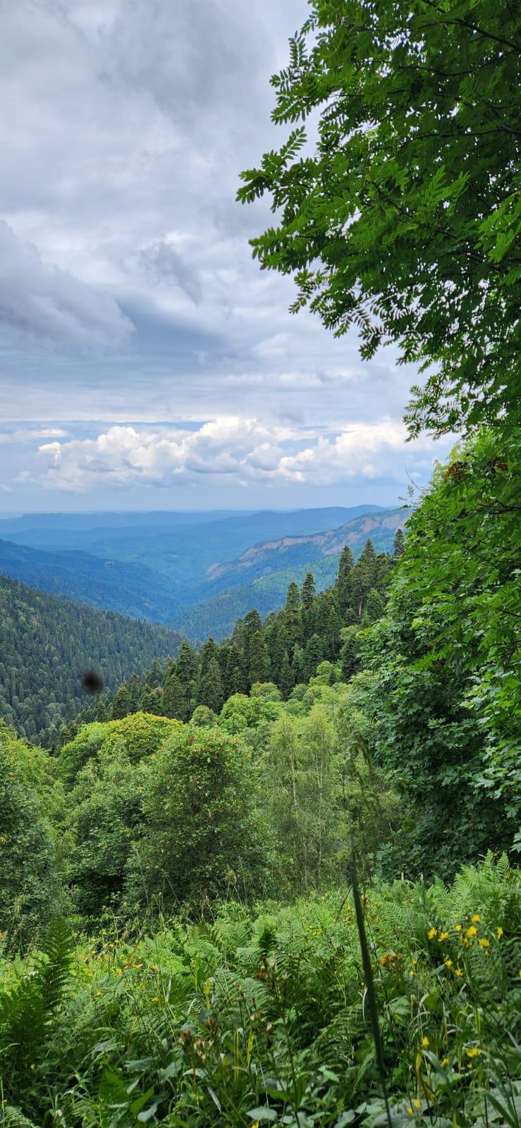 Фото №7: Коммерция 150 м² - Даховская, Прикубанский внутригородской округ, жилой комплекс Западный Город, Восточный, Западный внутригородской округ, Фестивальный, Карасунский внутригородской округ, Гидростроителей, Славянский, мкр. Светлоград, ул. Советская, 20