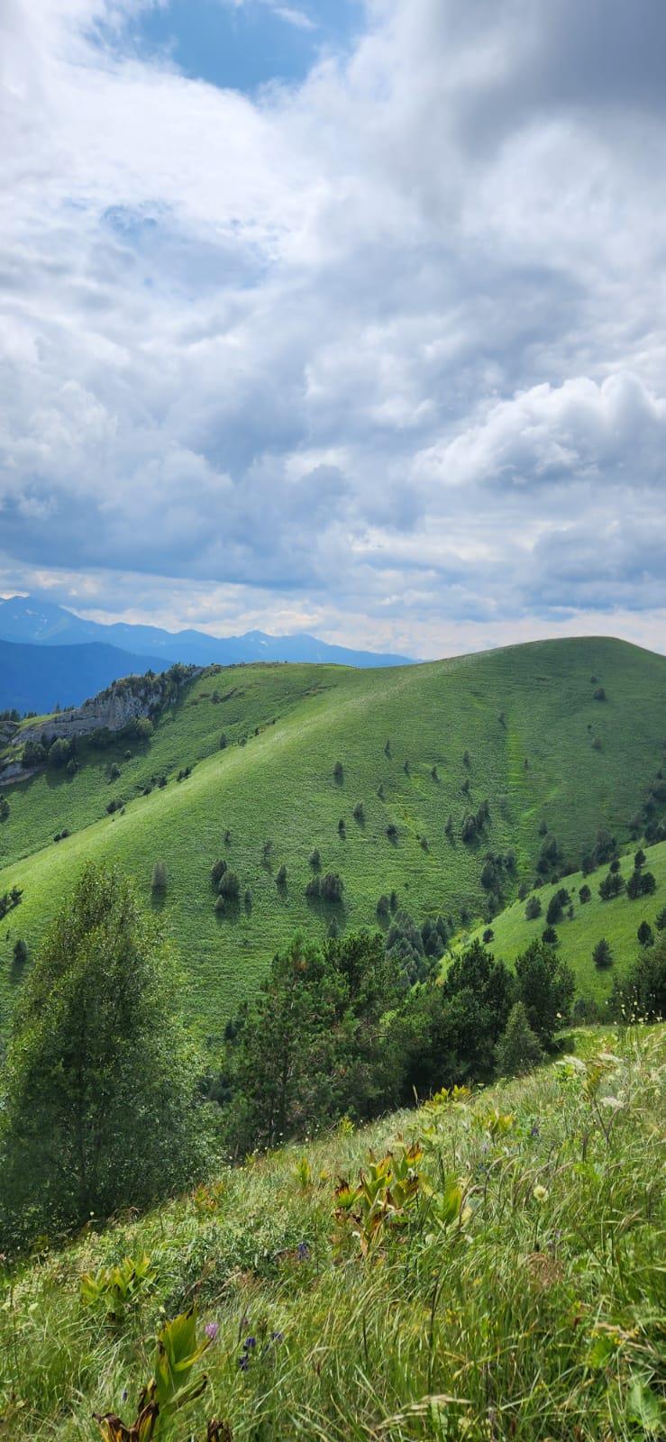Фото №10: Коммерция 150 м² - Даховская, Прикубанский внутригородской округ, жилой комплекс Западный Город, Восточный, Западный внутригородской округ, Фестивальный, Карасунский внутригородской округ, Гидростроителей, Славянский, мкр. Светлоград, ул. Советская, 20