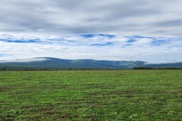 Фото №4: Коммерция 150 м² - Даховская, мкр. Светлоград, ул. Советская, 20