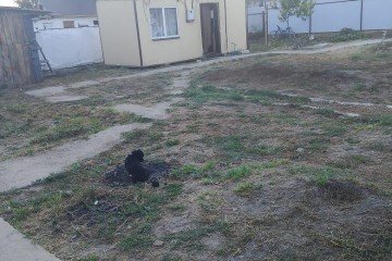 Фото №2: Дом 42 м² - Елизаветинская, ст Роднички, ул. Малиновая, 1