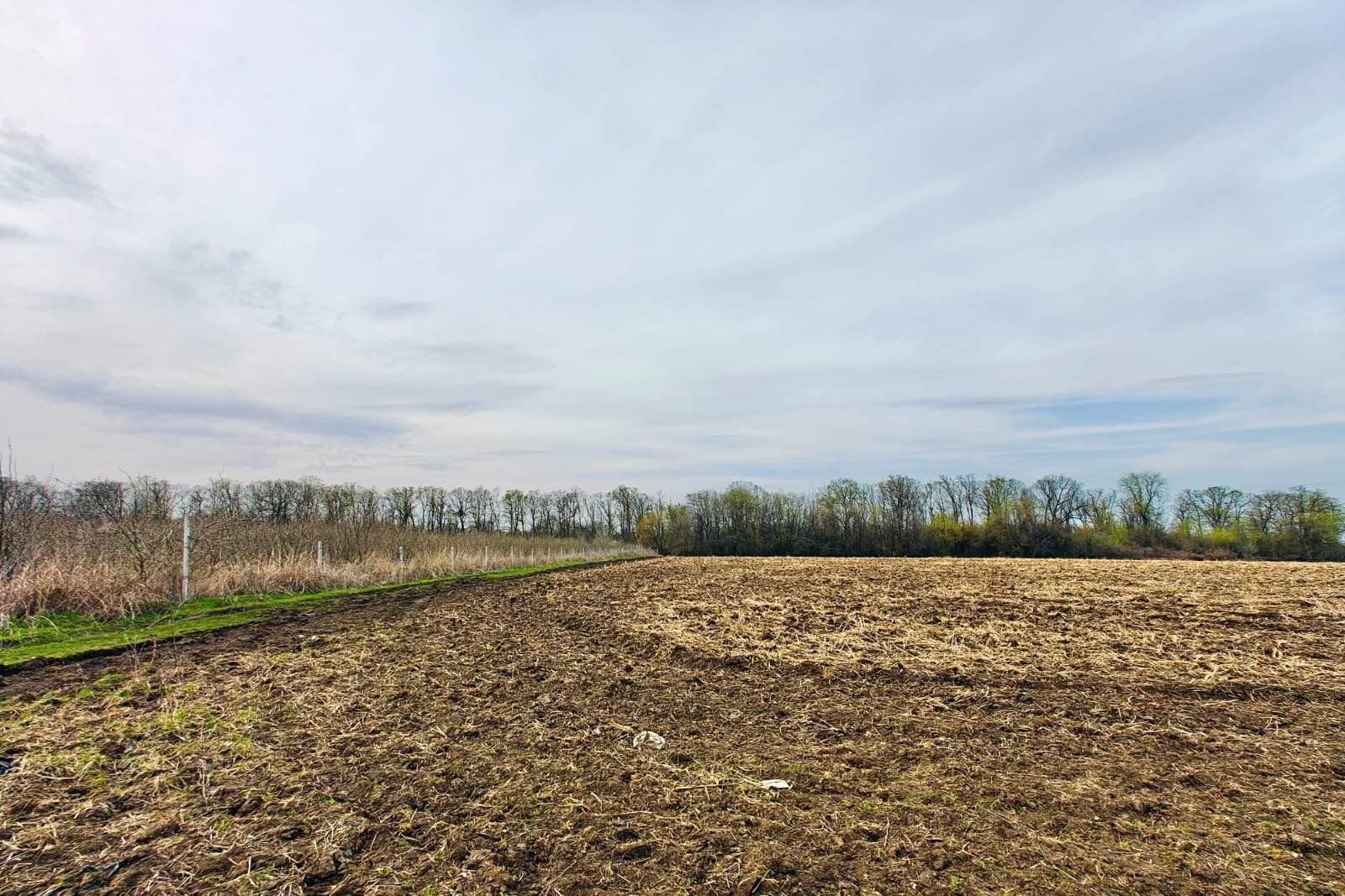 Фото №10: Коммерция 196 м² - Старокорсунская, мкр. Карасунский внутригородской округ, ул. Придорожная, 1А