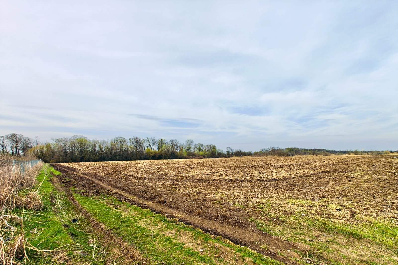 Фото №12: Коммерция 196 м² - Старокорсунская, мкр. Карасунский внутригородской округ, ул. Придорожная, 1А