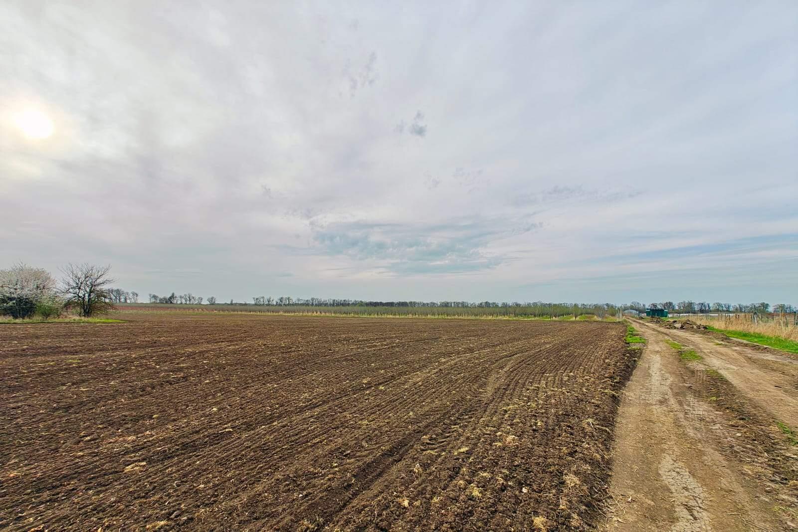 Фото №7: Коммерция 196 м² - Старокорсунская, мкр. Карасунский внутригородской округ, ул. Придорожная, 1А