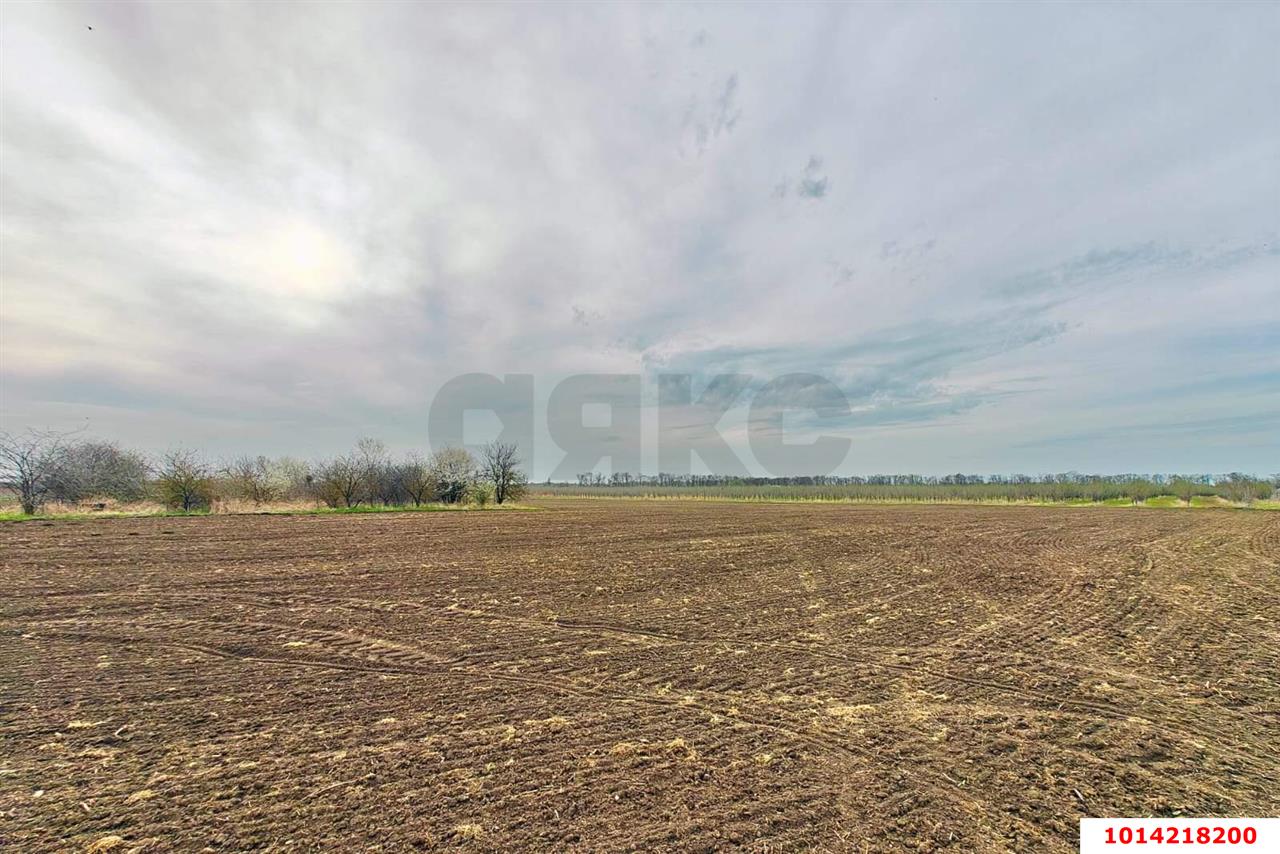 Фото №14: Коммерческая земля 196 сот. - Старокорсунская, мкр. Карасунский внутригородской округ, ул. Придорожная, 1А