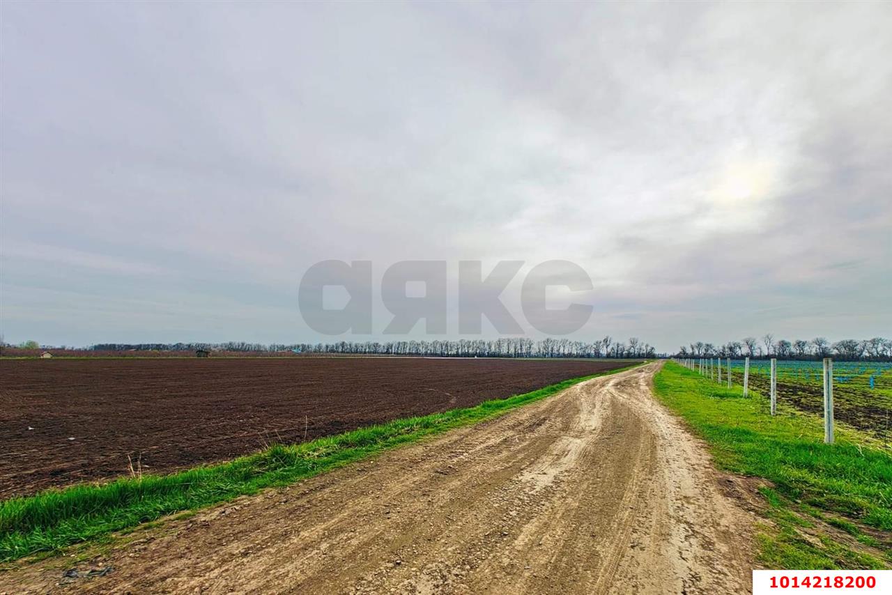 Фото №5: Коммерческая земля 196 сот. - Старокорсунская, мкр. Карасунский внутригородской округ, ул. Придорожная, 1А