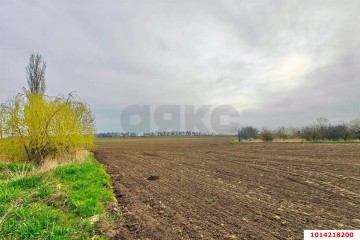 Фото №4: Коммерческая земля 196 сот. - Старокорсунская, мкр. Карасунский внутригородской округ, ул. Придорожная, 1А