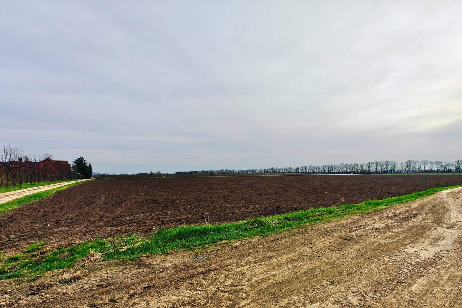 Фото №17: Коммерция 196 м² - Старокорсунская, мкр. Карасунский внутригородской округ, ул. Придорожная, 1А