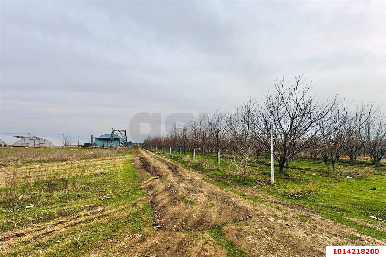 Фото №8: Коммерческая земля 196 сот. - Старокорсунская, мкр. Карасунский внутригородской округ, ул. Придорожная, 1А