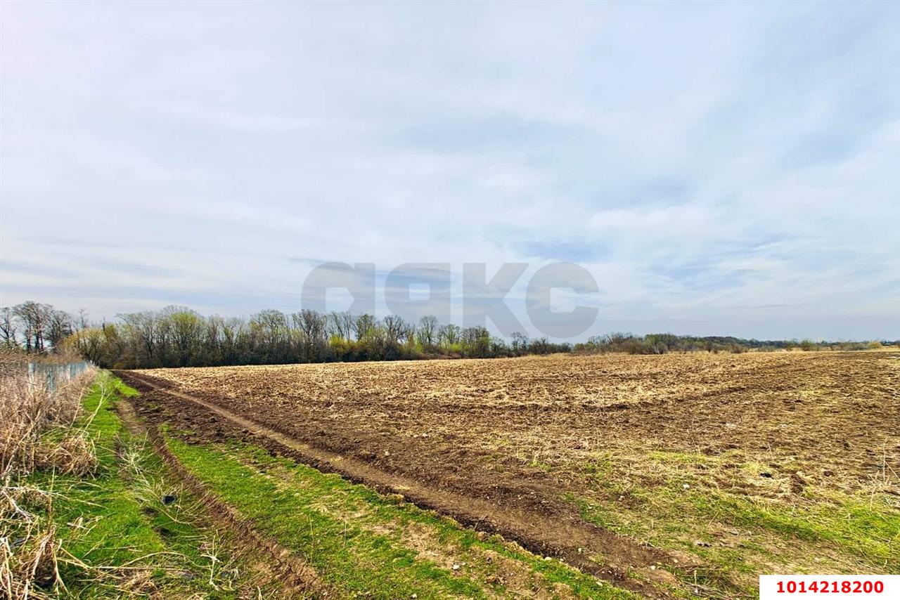 Фото №12: Коммерческая земля 196 сот. - Старокорсунская, мкр. Карасунский внутригородской округ, ул. Придорожная, 1А