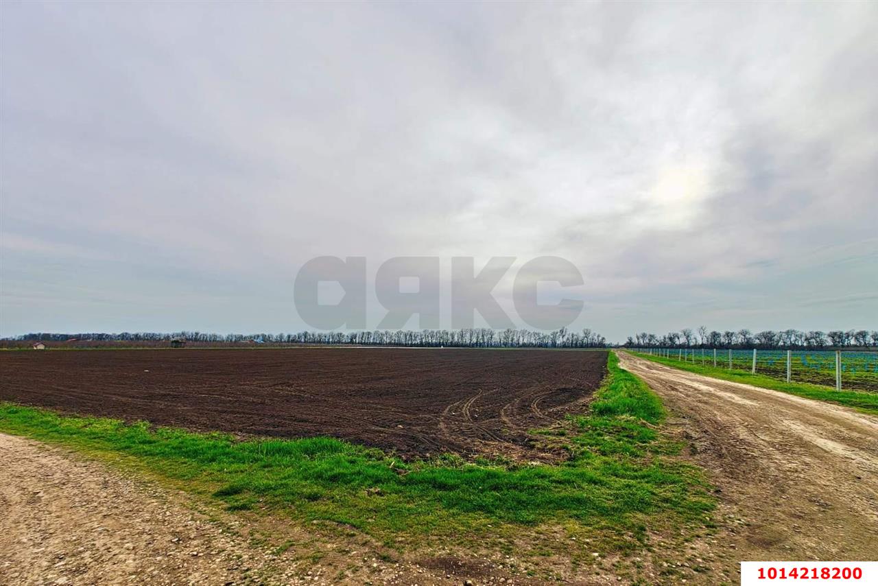 Фото №15: Коммерческая земля 196 сот. - Старокорсунская, мкр. Карасунский внутригородской округ, ул. Придорожная, 1А