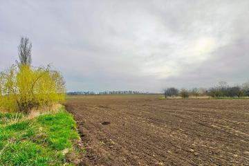 Фото №4: Коммерция 196 м² - Старокорсунская, мкр. Карасунский внутригородской округ, ул. Придорожная, 1А