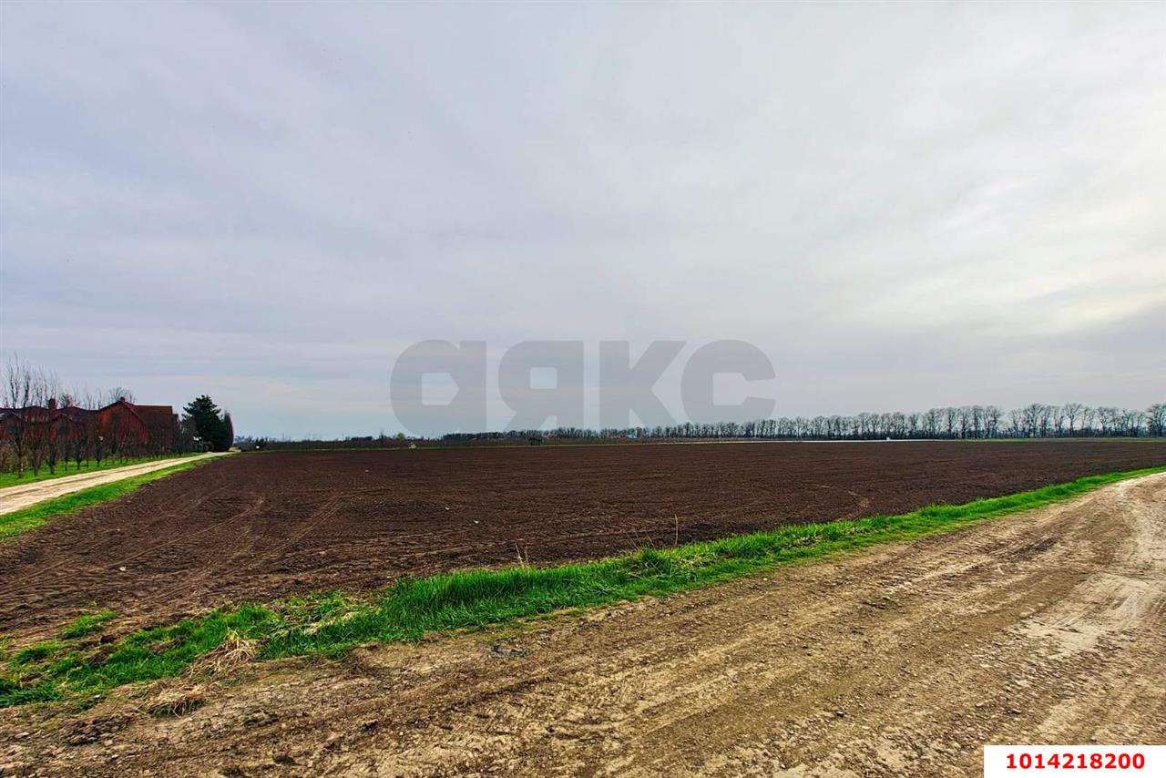 Фото №17: Коммерческая земля 196 сот. - Старокорсунская, мкр. Карасунский внутригородской округ, ул. Придорожная, 1А