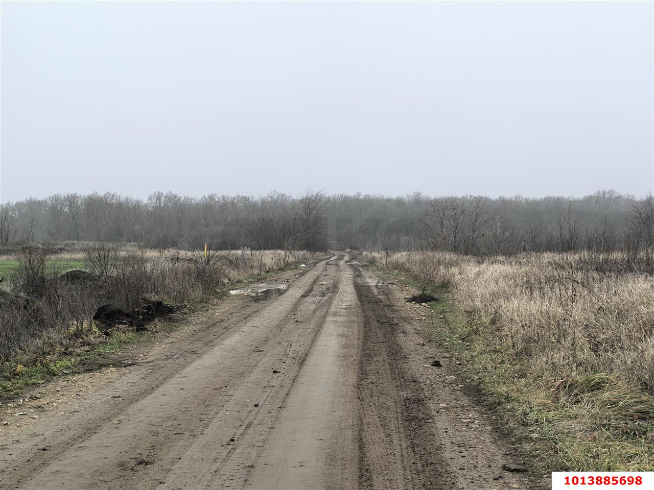 Фото №2: Участок садоводство 6 сот. - Дзержинец, ул. Крайняя, 1