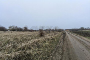 Фото №3: Участок садоводство 6 сот. - Дзержинец, ул. Крайняя, 1