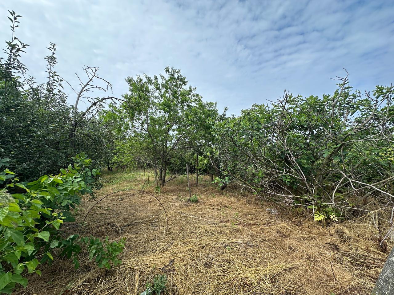 Фото №18: Дом 124 м² + 9.9 сот. - Елизаветинская, мкр. Прикубанский внутригородской округ, ул. Ленина, 242