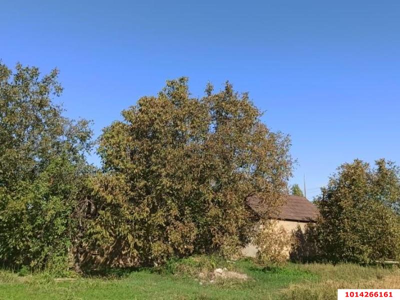 Фото №1: Земельный участок под ИЖС 6.19 сот. - Знаменский, СТ Рассвет, ул. Цветочная, 420