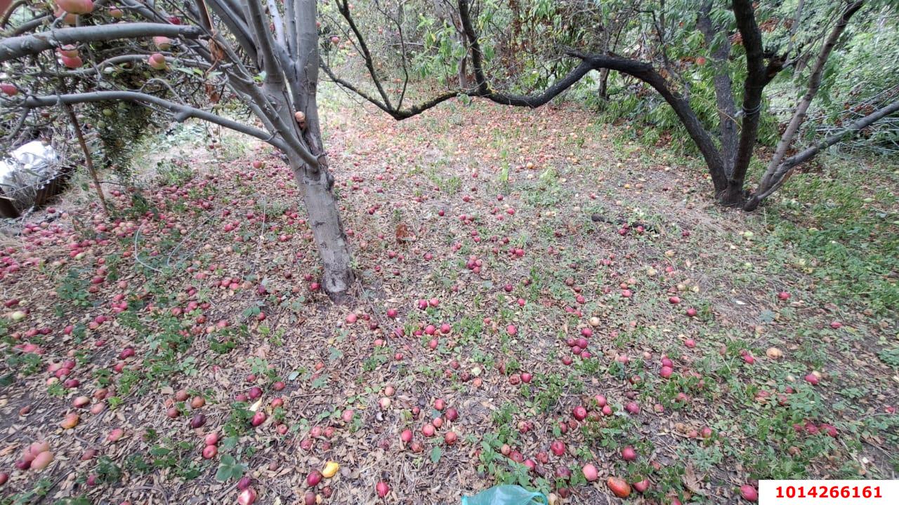 Фото №6: Земельный участок 6.19 сот. - Знаменский, Карасунский внутригородской округ, мкр. СТ Рассвет, ул. Цветочная, 420