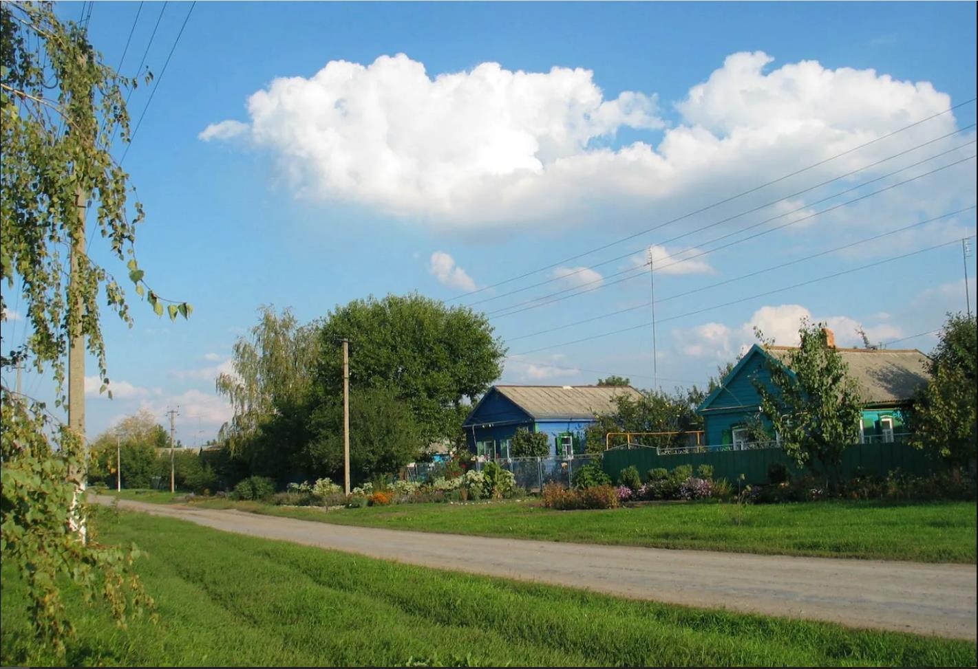 Фото №2: Коммерция 30 м² - Староминская, мкр. Плодосовхоз, ул. Степная, 20