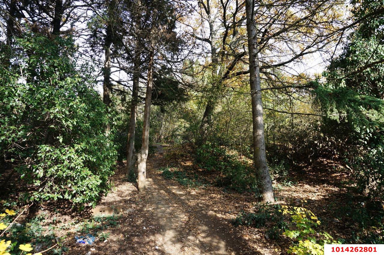 Фото №2: Земельный участок под ИЖС 4.3 сот. - Ялта, ул. Свердлова, 32