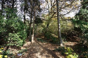 Фото №2: Земельный участок 4.3 сот. - Ялта, ул. Свердлова, 32