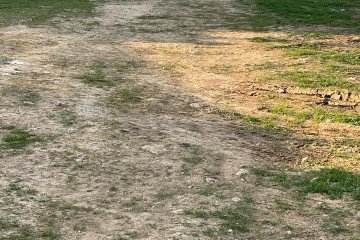 Фото №3: Земельный участок под ИЖС 10 сот. - Молочное, ул. Ново-Садовая, 24