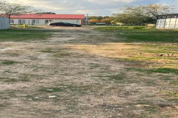 Фото №3: Земельный участок 10 сот. - Молочное, ул. Ново-Садовая, 24