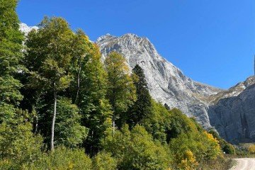 Фото №5: Личное подсобное хозяйство 15 сот. - Тубы, ул. Клубная, 32