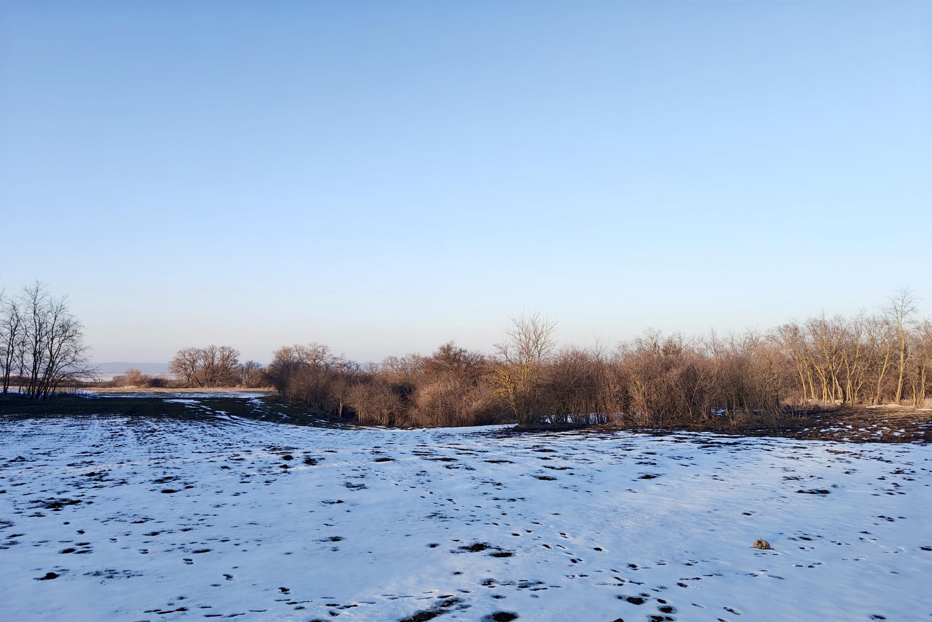 Фото №6: Коммерция 920 м² - Красная Горка, пер. Красный, 1